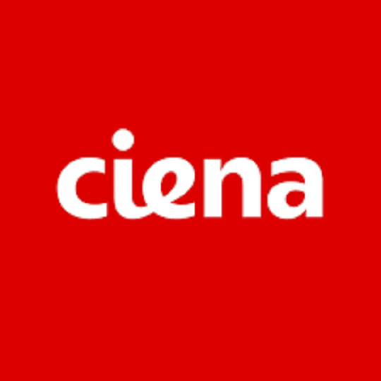 Ciena Off-Campus Recruitment Drive 2025 Hiring For Data Management Analyst | 4-8 LPA