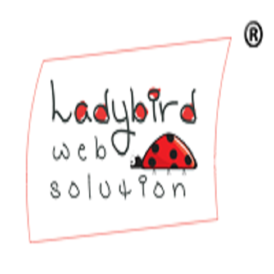 Ladybird Web Solution Hiring Software Engineer Internships 2025